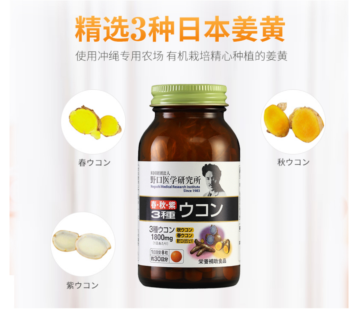 noguchi 野口医学研究所 醒酒解宿醉姜黄素片 240粒